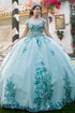 Enchanting Floral Details Quinceañera Ball Gown for Women, Sizes 4/XS-16/3X